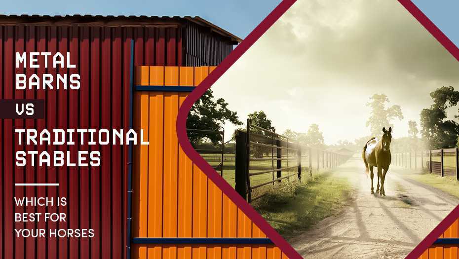 Metal Barns vs. Traditional Stables – Which is Best For Your Horses