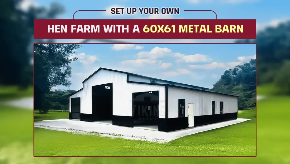 Set-up Your Own Hen Farm With a 60×61 Metal Barn