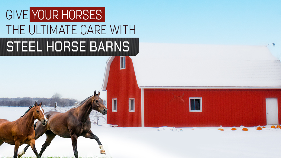 Give Your Horses the Ultimate Care with Steel Horse Barns