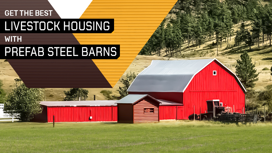 Get the Best Livestock Housing with Prefab Steel Barns