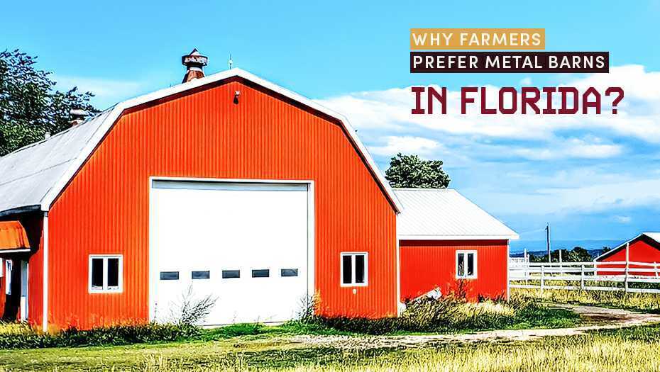 Why Farmers Prefer Metal Barns in Florida?