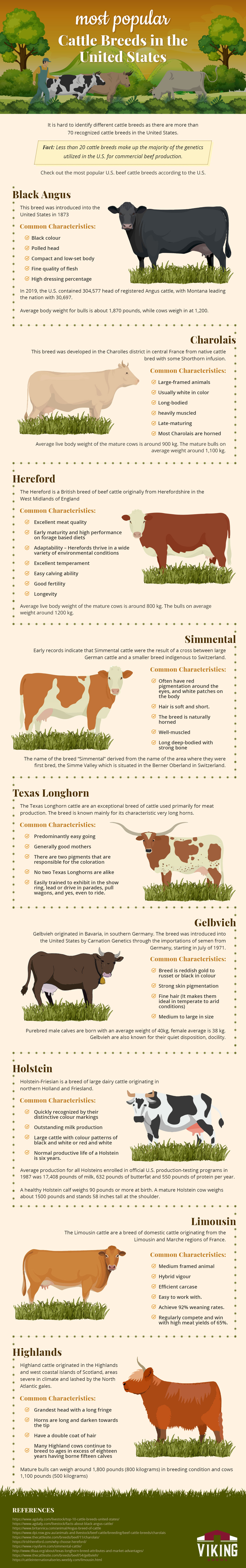 Most Popular Cattle Breeds In The United States