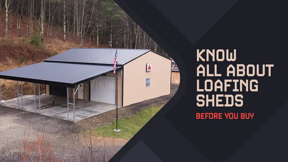 Know All About Loafing Sheds Before You Buy