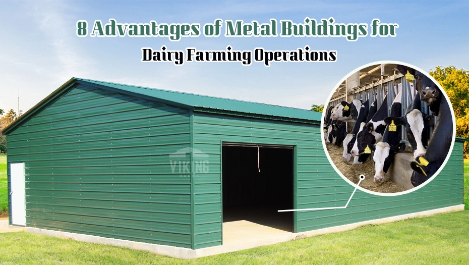8 Advantages of Metal Buildings for Dairy Farming Operations