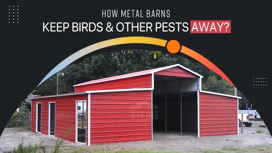 How Metal Barns Keep Birds and Other Pests Away?