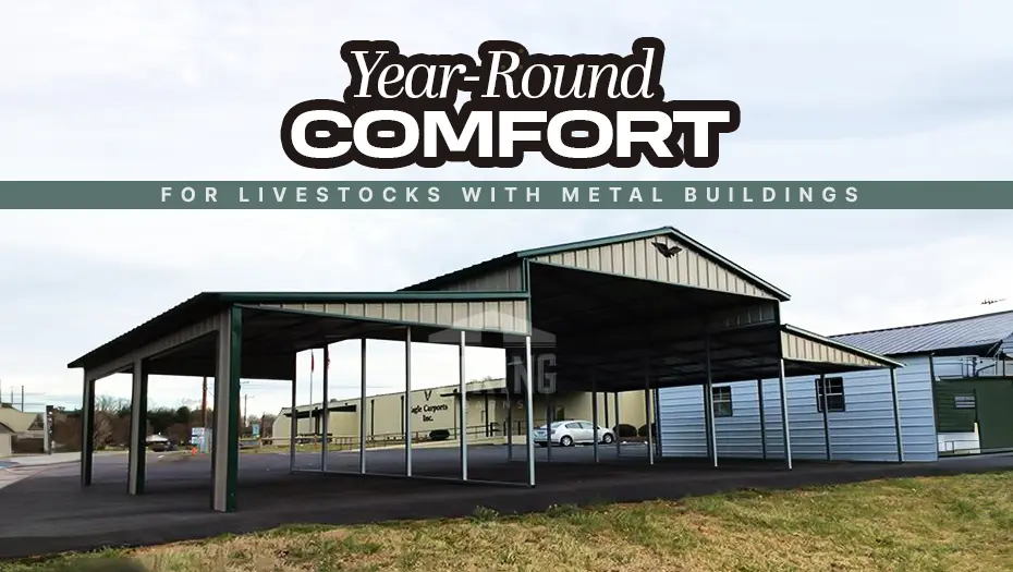 year-round-comfort-for-livestock-with-metal-buildings