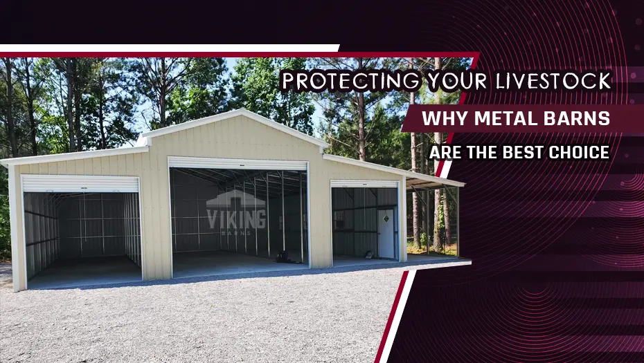 protecting-your-livestock-why-metal-barns-are-the-best-choice