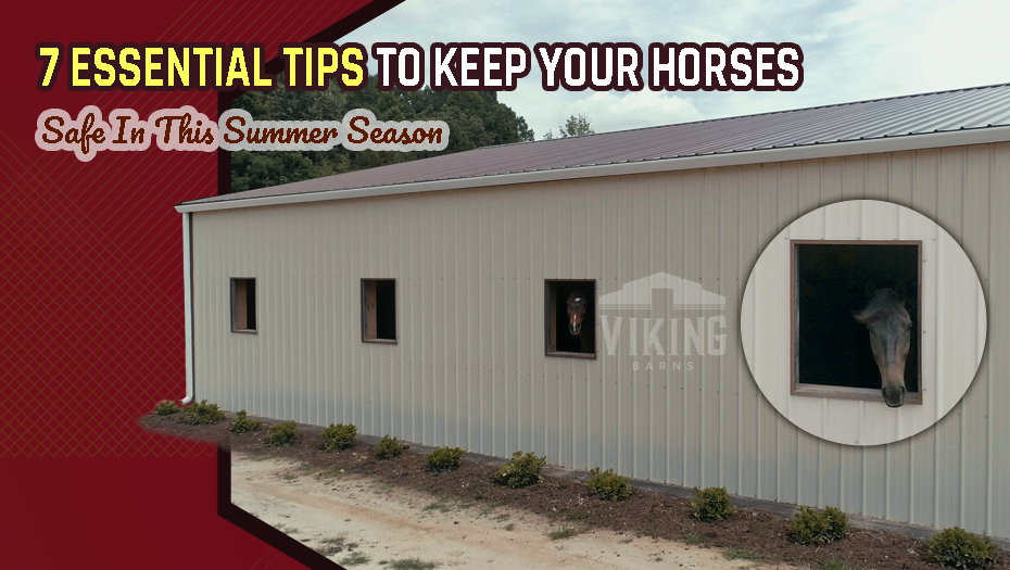 7 Essential Tips to Keep Your Horses Safe This Summer