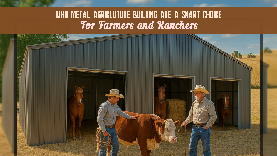 Why Are Metal Agriculture Buildings a Smart Choice for Farmers and Ranchers?