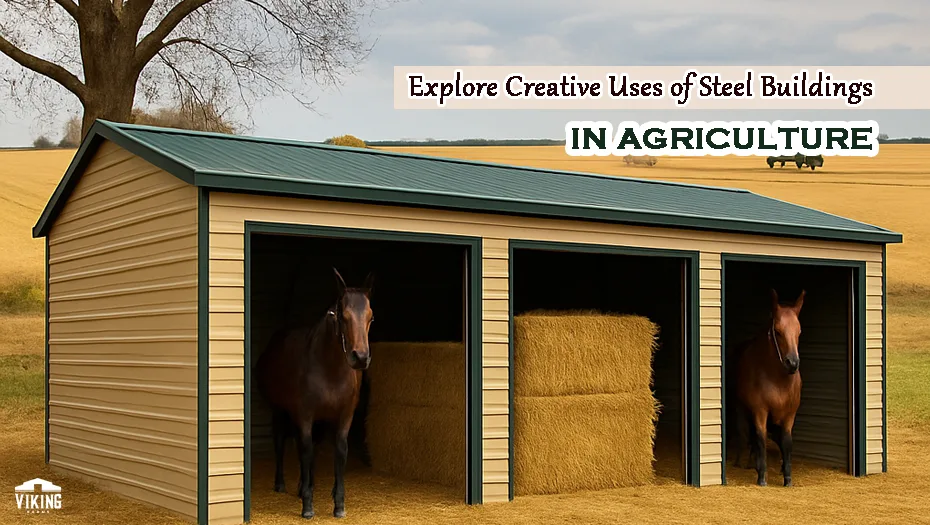 Explore Creative Uses Of Steel Buildings In Agriculture