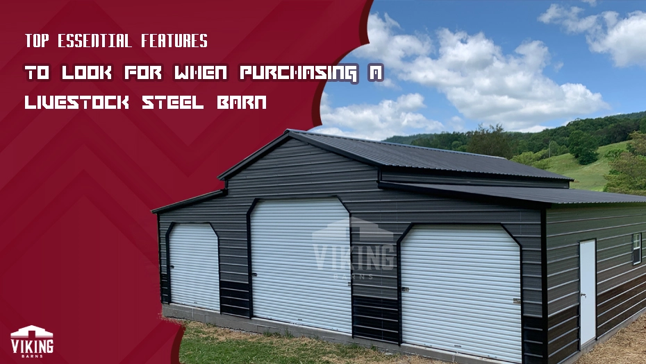 Top Essential Features to Look For When Purchasing a Livestock Steel Barn
