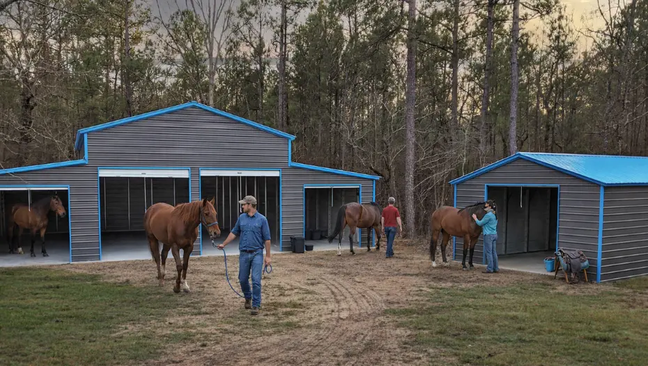 What Makes a Great Horse Barn? Top 5 Features You Should Not Ignore