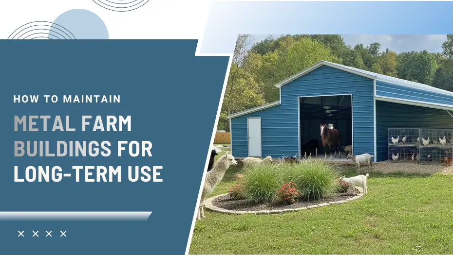 How to Maintain Metal Farm Buildings for Long-Term Use